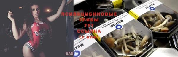 a pvp Аркадак