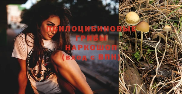Альфа ПВП Армянск