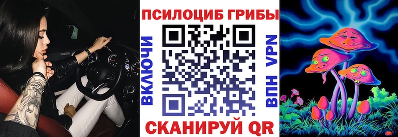 Купить  Гвардейск  Галлюциногенные грибы GOLDEN TEACHER 